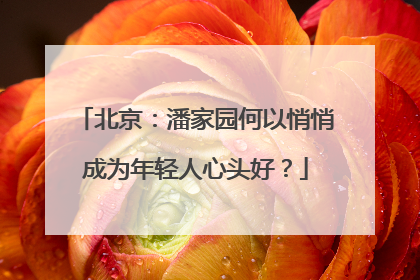 北京：潘家园何以悄悄成为年轻人心头好？