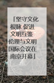 坚守文化根脉 促进文明互鉴 伦理与文明国际会议在南京开幕