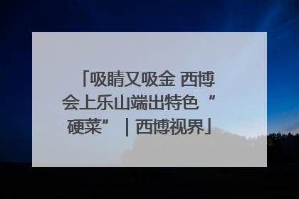 吸睛又吸金 西博会上乐山端出特色“硬菜”｜西博视界