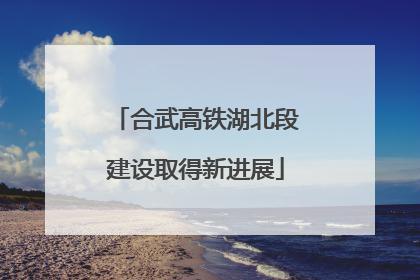 合武高铁湖北段建设取得新进展
