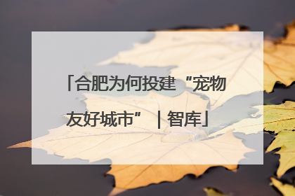 合肥为何投建“宠物友好城市”｜智库