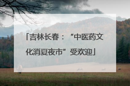 吉林长春：“中医药文化消夏夜市”受欢迎
