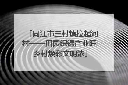 同江市三村镇拉起河村——田园织锦产业旺 乡村焕彩文明浓