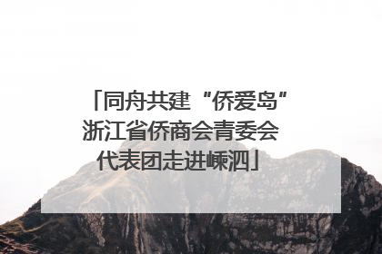 同舟共建“侨爱岛” 浙江省侨商会青委会代表团走进嵊泗