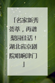 名家新秀荟萃，再谱梨园佳话！湖北省京剧院唱响津门