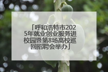 呼和浩特市2025年就业创业服务进校园暨第8场高校巡回招聘会举办