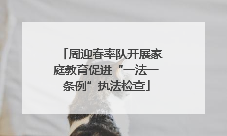 周迎春率队开展家庭教育促进“一法一条例”执法检查