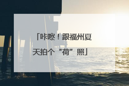 咔嚓！跟福州夏天拍个“荷”照