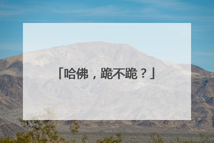 哈佛，跪不跪？