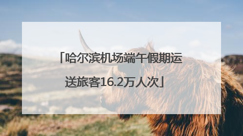 哈尔滨机场端午假期运送旅客16.2万人次