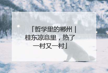哲学里的郴州｜桂东凉意里，热了一村又一村