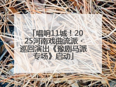 唱响11城！2025河南戏曲流派・巡回演出《豫剧马派专场》启动