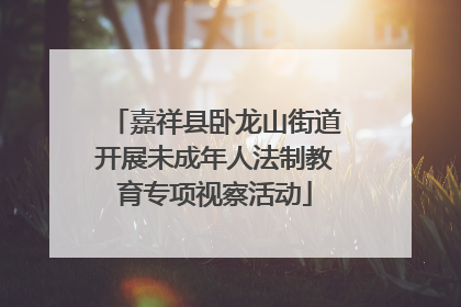 嘉祥县卧龙山街道开展未成年人法制教育专项视察活动