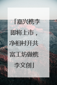 嘉兴槜李即将上市，净相村开共富工坊做槜李文创