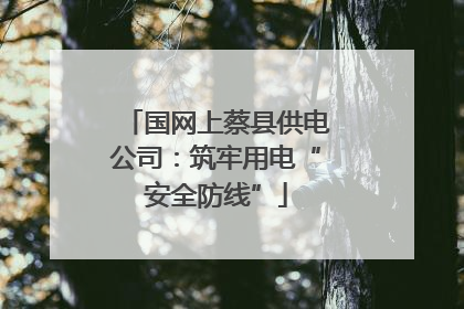 国网上蔡县供电公司：筑牢用电“安全防线”