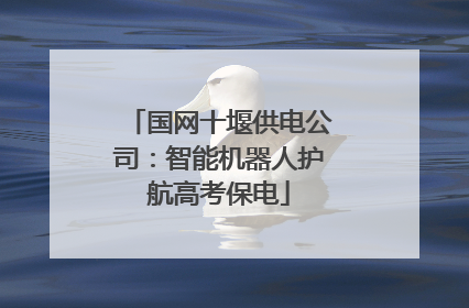 国网十堰供电公司：智能机器人护航高考保电