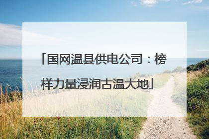 国网温县供电公司：榜样力量浸润古温大地