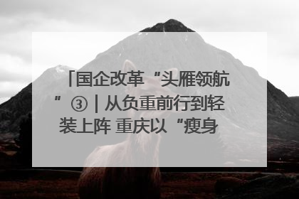 国企改革“头雁领航”③｜从负重前行到轻装上阵 重庆以“瘦身”谋“健体”