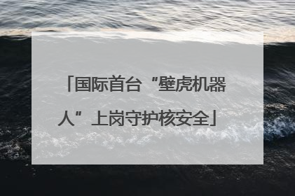国际首台“壁虎机器人”上岗守护核安全