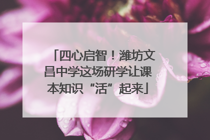 四心启智！潍坊文昌中学这场研学让课本知识“活”起来