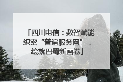 四川电信：数智赋能织密“普遍服务网”，绘就巴蜀新画卷