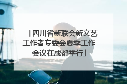四川省新联会新文艺工作者专委会夏季工作会议在成都举行