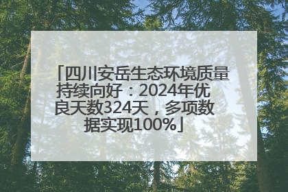 四川安岳生态环境质量持续向好：2024年优良天数324天，多项数据实现100%