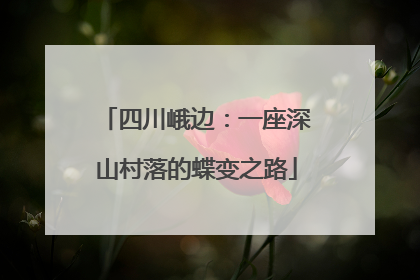 四川峨边：一座深山村落的蝶变之路