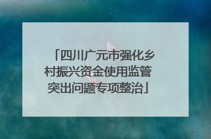 四川广元市强化乡村振兴资金使用监管突出问题专项整治