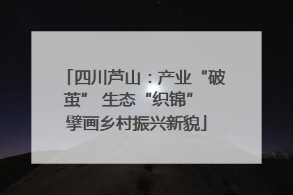 四川芦山：产业“破茧” 生态“织锦” 擘画乡村振兴新貌