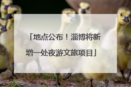 地点公布！淄博将新增一处夜游文旅项目