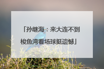 孙继海：来大连不到梭鱼湾看场球挺遗憾