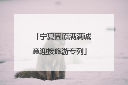 宁夏固原满满诚意迎接旅游专列