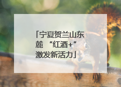 宁夏贺兰山东麓 “红酒+”激发新活力
