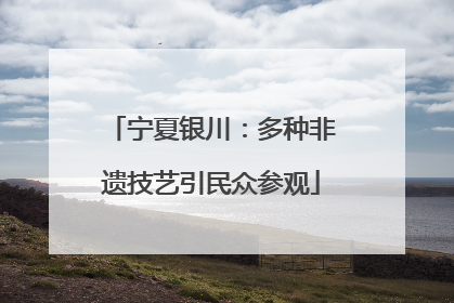 宁夏银川：多种非遗技艺引民众参观