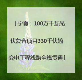 宁夏：100万千瓦光伏复合项目330千伏输变电工程线路全线贯通