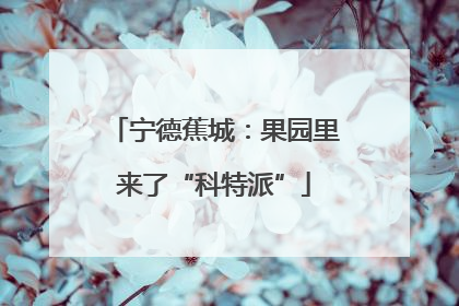宁德蕉城：果园里来了“科特派”