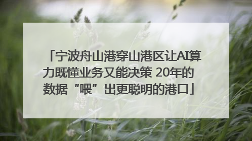 宁波舟山港穿山港区让AI算力既懂业务又能决策 20年的数据“喂”出更聪明的港口