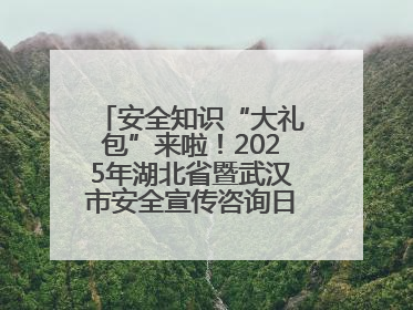 安全知识“大礼包”来啦！2025年湖北省暨武汉市安全宣传咨询日活动在汉举行