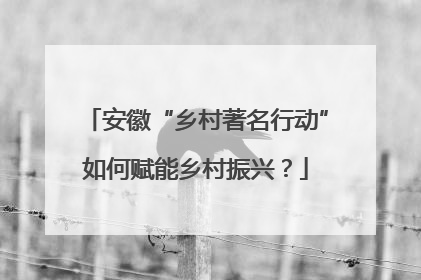 安徽“乡村著名行动”如何赋能乡村振兴？