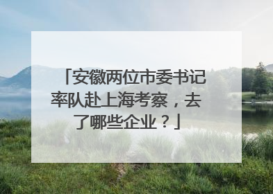 安徽两位市委书记率队赴上海考察，去了哪些企业？