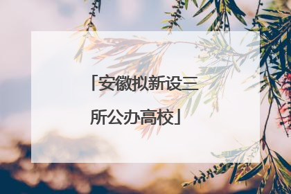 安徽拟新设三所公办高校