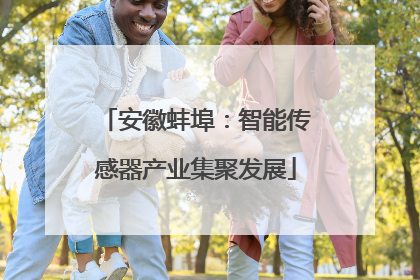 安徽蚌埠：智能传感器产业集聚发展