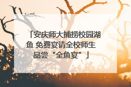 安庆师大捕捞校园湖鱼 免费宴请全校师生品尝“全鱼宴”