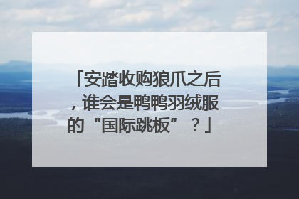 安踏收购狼爪之后，谁会是鸭鸭羽绒服的“国际跳板”？