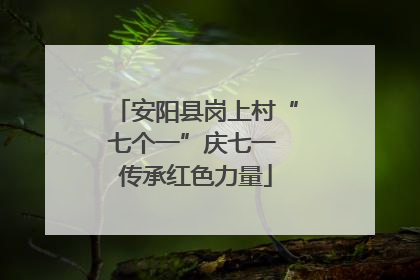 安阳县岗上村“七个一”庆七一 传承红色力量