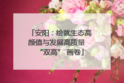 安阳：绘就生态高颜值与发展高质量 “双高” 画卷