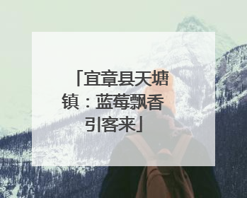 宜章县天塘镇：蓝莓飘香引客来
