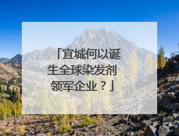 宜城何以诞生全球染发剂领军企业？