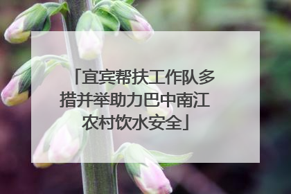 宜宾帮扶工作队多措并举助力巴中南江农村饮水安全